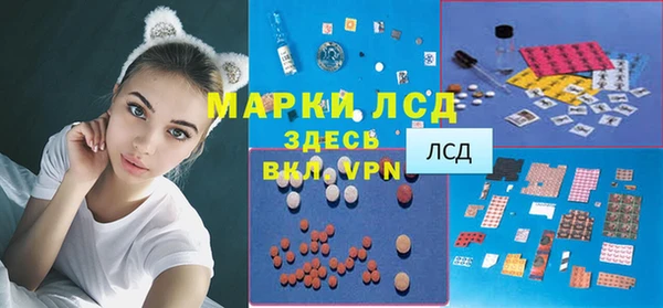 твердый Осташков