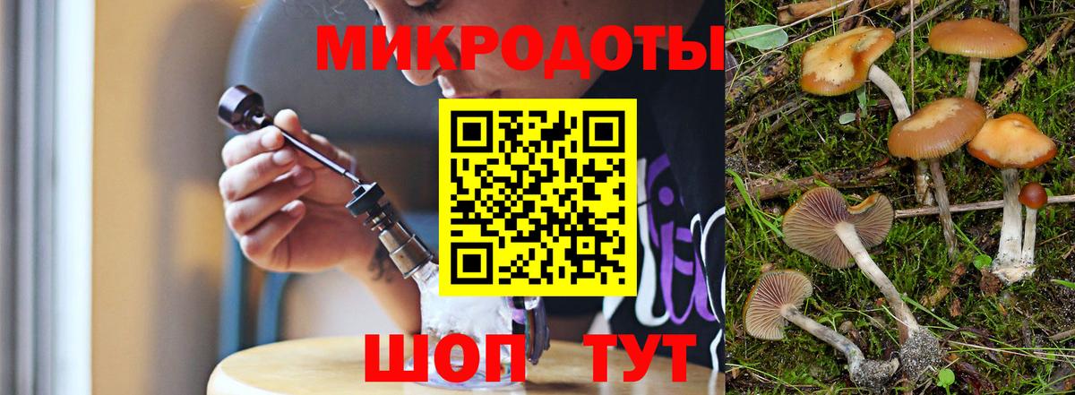 Галлюциногенные грибы Cubensis  Вход с VPN  Галлюциногенные грибы GOLDEN TEACHER  Калининград 